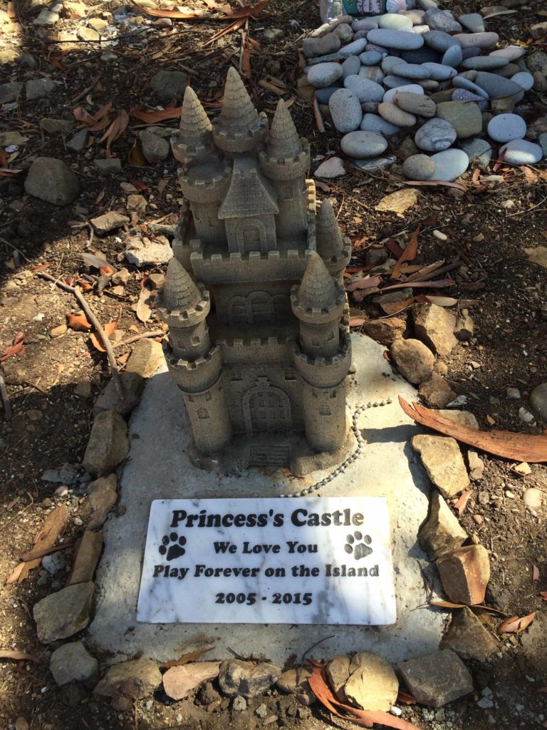 Princess's new castle. She was a noble dog.